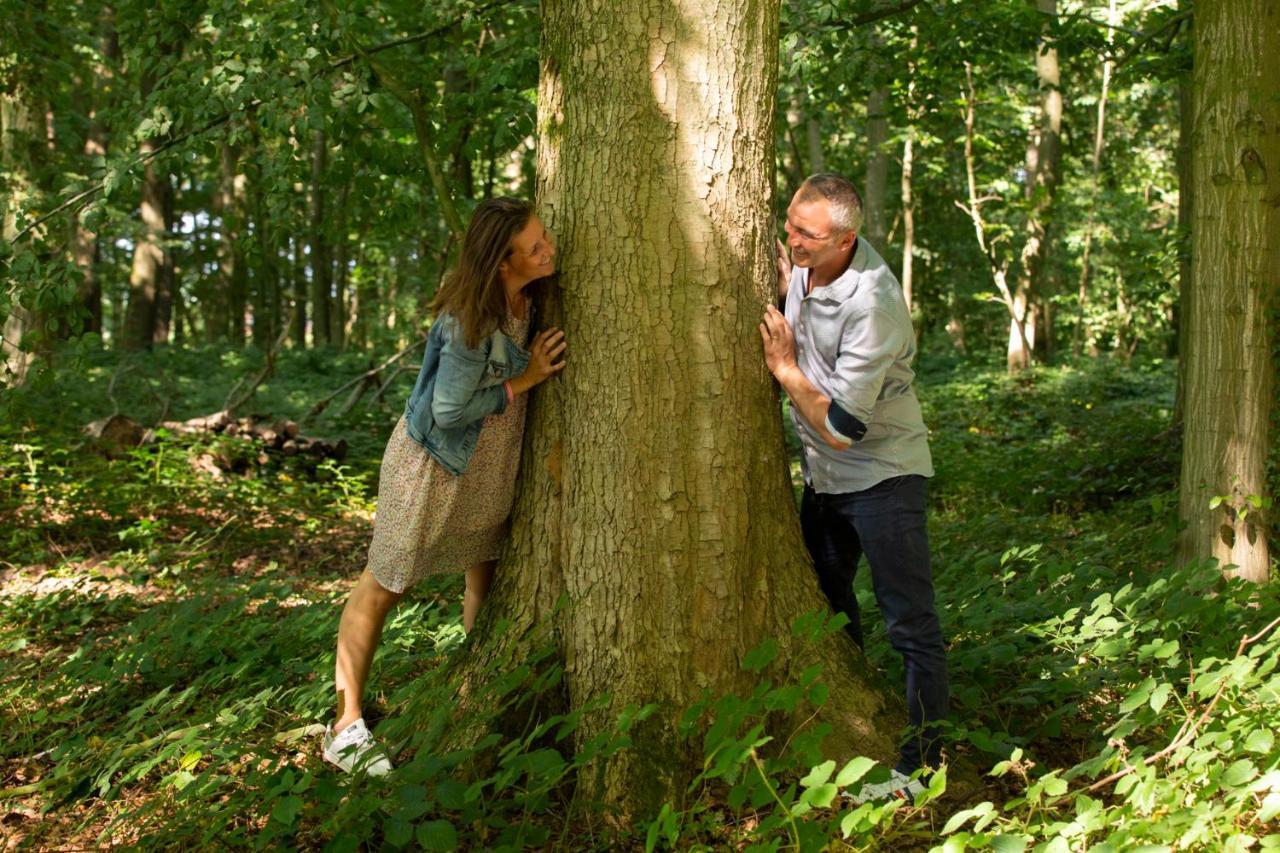 Aux Petits Lapins De Sorval, Sauna Prive, Fitness Selvigny Exteriér fotografie